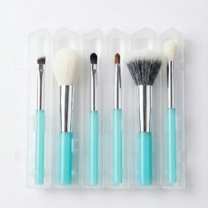 the "mint edition" 6 piece travel makeup brush set with convertible standing case