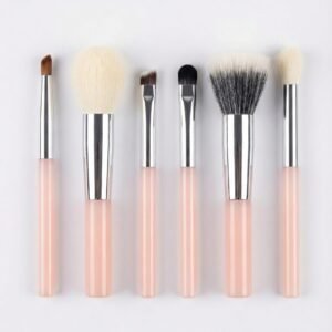 the "perfect peach" 6 piece travel makeup brush set with convertible standing case